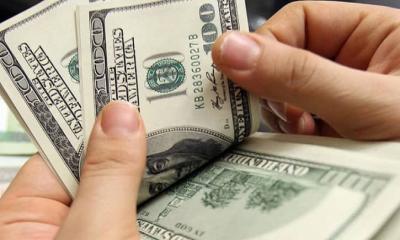 ৯ মাস মহাকাশে কাটিয়ে পৃথিবীতে ফিরলেন সুনীতা ও বুচ